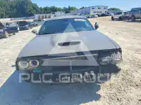 2019 Dodge CHALLENGER фото