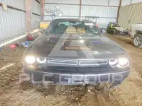 2019 Dodge CHALLENGER фото
