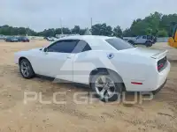 2019 Dodge CHALLENGER photo
