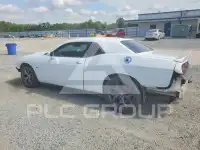 2019 Dodge CHALLENGER фото