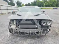2019 Dodge CHALLENGER photo