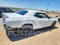 2019 Dodge CHALLENGER photo