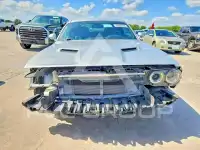 2019 Dodge CHALLENGER фото