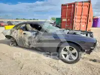 2019 Dodge CHALLENGER фото