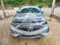 2019 Acura ILX фото