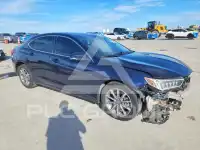 2019 Acura TLX фото