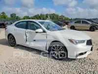 2019 Acura TLX photo