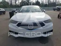 2019 Acura TLX фото