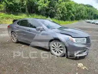 2019 Acura TLX фото