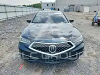 2019 Acura TLX фото