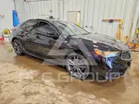 2019 Acura TLX фото