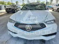 2019 Acura TLX фото