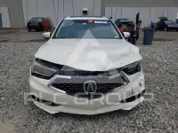 2019 Acura TLX фото