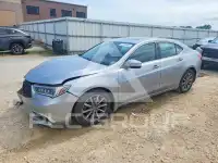 2019 Acura TLX фото