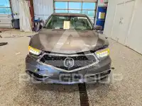 2019 Acura TLX фото
