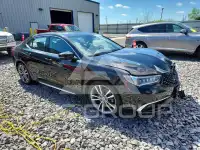 2019 Acura TLX фото