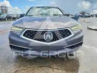 2019 Acura TLX фото