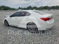 2019 Acura TLX фото