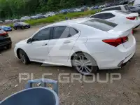 2019 Acura TLX фото