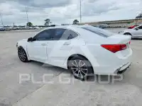 2019 Acura TLX фото