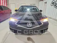 2019 Acura TLX фото