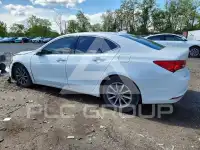 2019 Acura TLX фото