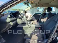 2019 Honda CIVIC фото