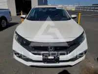 2019 Honda CIVIC photo