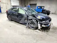 2019 Honda CIVIC photo