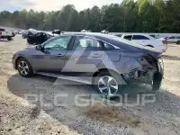 2019 Honda CIVIC photo