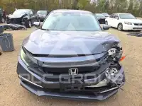 2019 Honda CIVIC photo