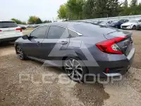 2019 Honda CIVIC фото