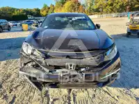 2019 Honda CIVIC photo