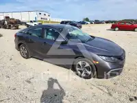 2019 Honda CIVIC photo