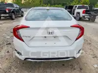 2019 Honda CIVIC photo