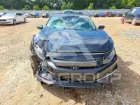 2019 Honda CIVIC фото