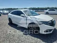 2019 Honda CIVIC photo