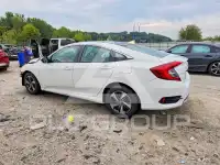 2019 Honda CIVIC photo
