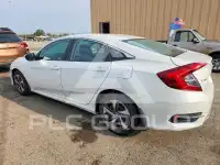2019 Honda CIVIC фото