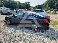 2019 Honda CIVIC фото