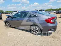 2019 Honda CIVIC photo