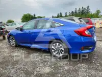 2019 Honda CIVIC фото
