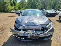 2019 Honda CIVIC фото