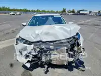 2019 Honda CIVIC фото