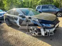 2019 Honda CIVIC photo