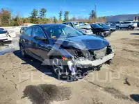 2019 Honda CIVIC фото