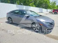 2019 Honda CIVIC photo