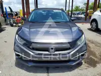 2019 Honda CIVIC photo