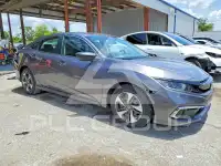 2019 Honda CIVIC photo