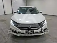 2019 Honda CIVIC photo